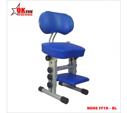 Ghế Học sinh Thông Minh OKyou NGHS  FF1H-BL (Xanh) (Dành cho trẻ còn nhỏ ngồi bàn người lớn)